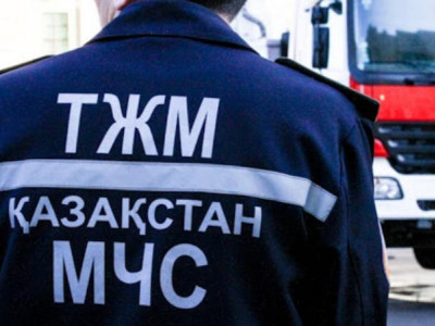 ТЖМ-де төрт комитет құрылды