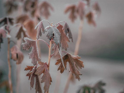 Тұман, жаңбыр және қатты жел – бүгінгі ауа райы болжамы