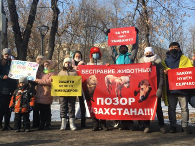Алматыда жануар құқықтарын қорғаушылардың митингі өтті