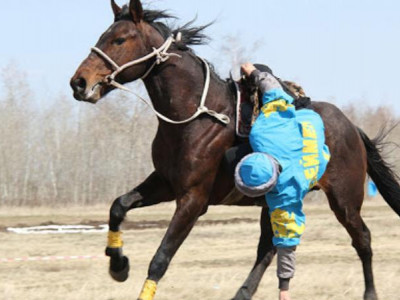 Ұлттық спорт түрлері мектеп бағдарламасына енгізіледі