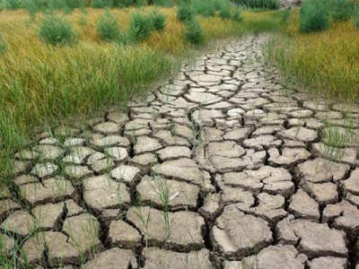 2020 жыл адамзатты жаһандық жылынуға жақындатты