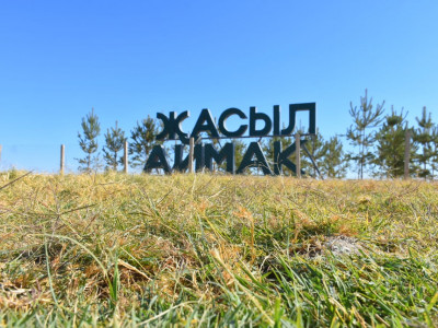Биыл Түркістан облысында 30 млн тал егіледі