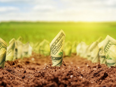 Француздардан 1500 гектар қазақ жері қайтарылып алынды