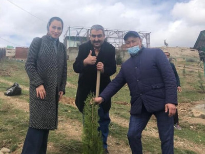 Түркиялық БАҚ өкілдері Үкаша ата құдығы маңында бозарша ағашын екті