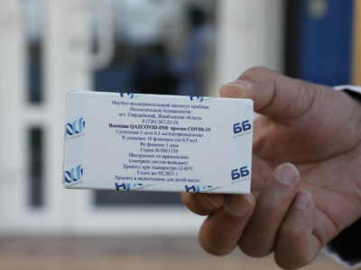 Вирустан вакцинаға дейінгі тар жол, тайғақ кешу