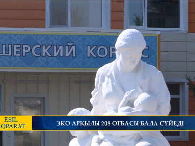 ЭКО АРҚЫЛЫ 208 ОТБАСЫ БАЛА СҮЙЕДІ