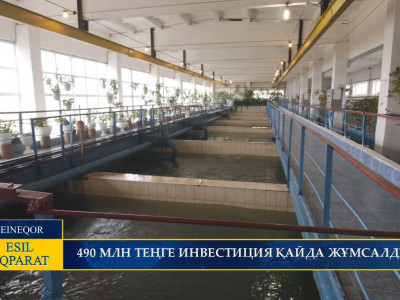 490 МЛН ТЕҢГЕ ИНВЕСТИЦИЯ ҚАЙДА ЖҰМСАЛДЫ?