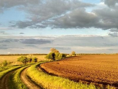 Француздар