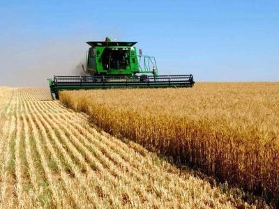 Қазақстандықтар ауыл шаруашылық жерлерін 49 жылға жалға ала алады