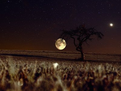 NASA Шолпанға екі зерттеу миссиясын жолдайды