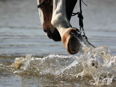 Миланың секс видеосы