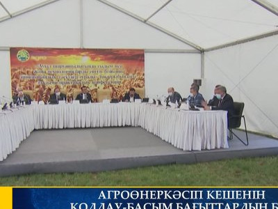 ӘЛЕУМЕТТІК КӘСІПКЕРЛІКТІ ДАМЫТУҒА БАҒЫТТАЛҒАН ЖАҢА ЗАҢ ҚАБЫЛДАНДЫ