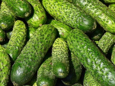 От какого недуга можно спастись, если постоянно есть огурцы