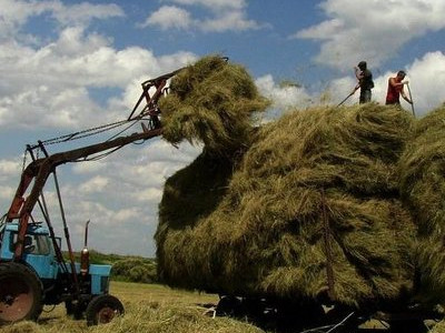 Қарағанды облысында жемшөп дайындау мәселесі қалай шешімін табады