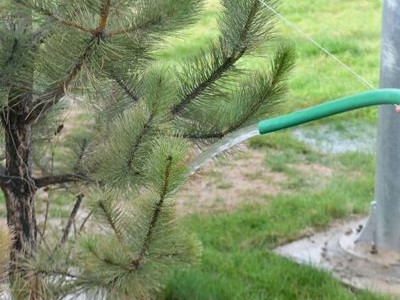Түркістанды көгалдандыру жүйесі өзгертілді