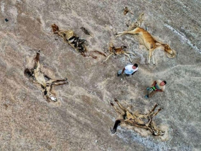 Еуроодақ қуаңшылықтан зардап шеккен қазақстандықтарға 200 мың еуро бөледі