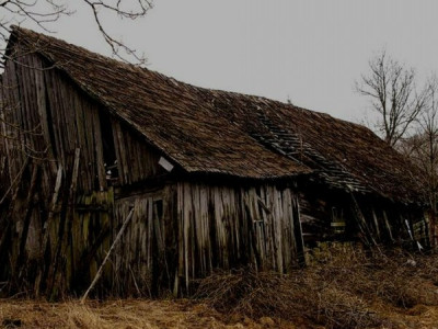 Мужчина жил в сарае 15 лет, но вы только узрите, что внутри