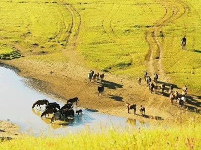 Алтайдың аюын ноқталап мінген Торғайты әулиенің жайлауы - Шетелдегі қазақ тілді БАҚ-қа шолу