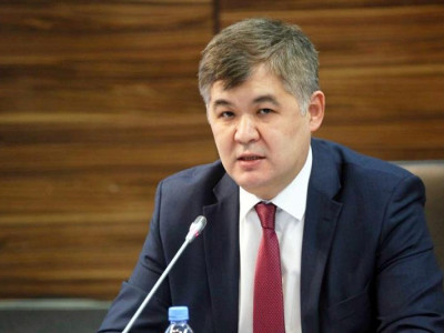 Елжан Біртановты үйқамақта ұстау мерзімі тағы екі айға ұзартылды