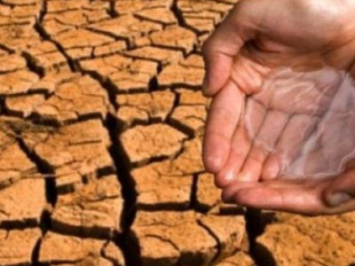 Маңғыстауда мал қырылғанда неліктен төтенше жағдай жарияланған жоқ?