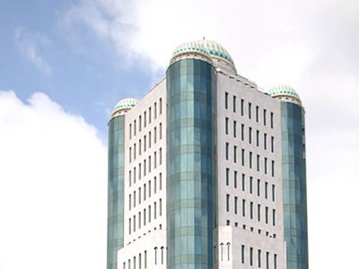 Сенатта ТүркПА-ның Бас хатшысымен кездесу болды