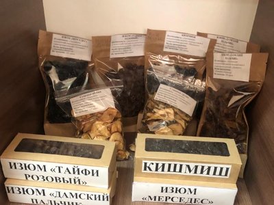 Отандық өнім: Шымкентте экологиялық таза кептірілген жемістер дайындау технологиясы енгізілуде