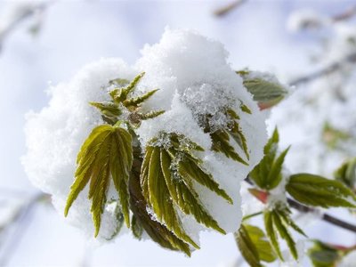 Елімізде көктемнің алғашқы күндерінде ауа райы қандай болады?