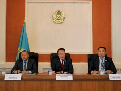 Референдум арқылы Парламент пен мәслихаттардың рөлін күшейтеміз – сенатор