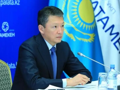 Құлыбаев Алматыда элиталық жер телімінен айрылды