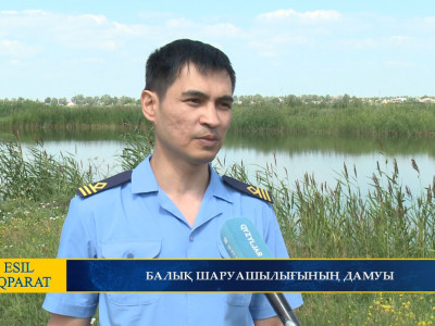 БАЛЫҚ ШАРУАШЫЛЫҒЫНЫҢ ДАМУЫ