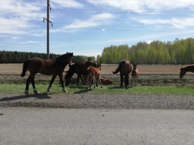 Жігіттердегі алғашқы жыныстық қатынас алдындағы мазасыздық Инга - порно актриса.