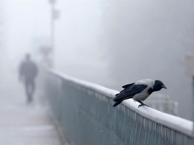 Тұман, күшті жел, жаңбыр: Қазақстанның 7 өңірінде ауа райына байланысты ескерту жарияланды 