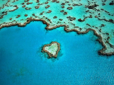 Тынық мұхиты жойылып, жаңа суперконтинент пайда болады