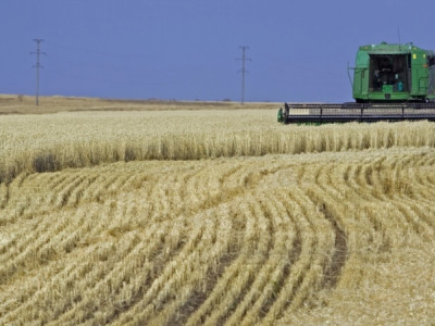 Қазақстан Ресейге астық транзиті тарифін қымбаттатпағанын хабарлады