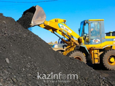 Астанада газсыз қалған үйлерге көмір жеткізілуде - әкімдік