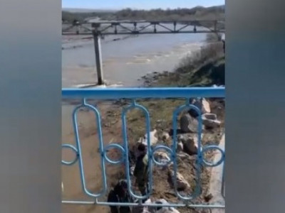 4 жасар қызы Арыс өзеніне құлап кеткен