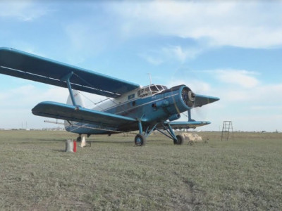 Павлодар облысында 71 мың гектарлық аумақ шыбын-шіркейге қарсы өңделеді