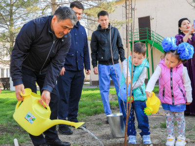 Жамбыл облысының әкімі бөбектер үйінің бүлдіршіндерімен бірге ағаш екті