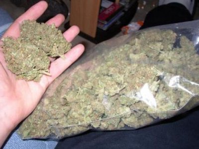 Шу тұрғынынан 11 келіден астам марихуана тәркіленді