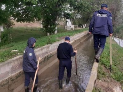 Түркістанда 15 жасар қызды 11 сынып оқушысы не үшін...