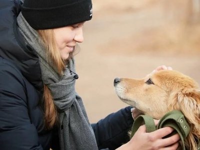 Рыбакинаның иті болғым келеді...