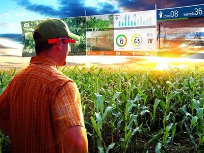  Фермерлердің арзандатылған тыңайтқыштарды алу рәсімі жеңілдеді 