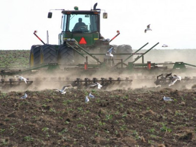  Семей өңірінде 17 мың гектарға егін салынады 