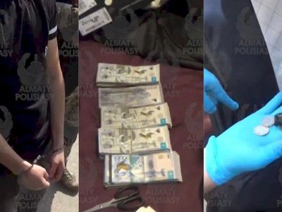 Алматыда есірткі желісі жойылды