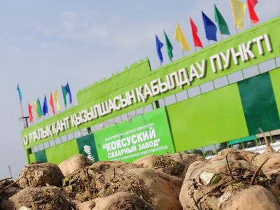 Инвестициялық жобалардан игілік бар ма?