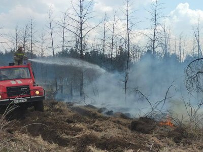 ТЖМ: Абай облысында 3500 га аумақты шарпыған өрт оқшауланды