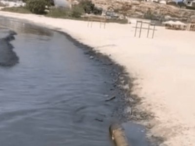 Экология министрлігі Каспийдегі судың қара түске боялу себептерін түсіндірді