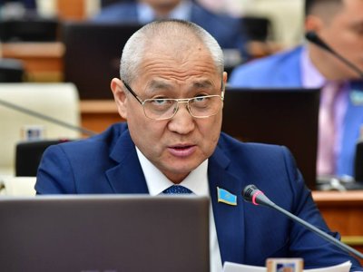 Депутат: Жыл сайын қайталанатын проблемаларды жою үшін министрлік не істеп жатыр?