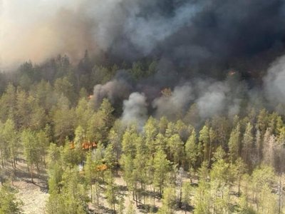 Абай облысында орман өртіне байланысты үш ауылдың тұрғындары үйлерін тастап кетті