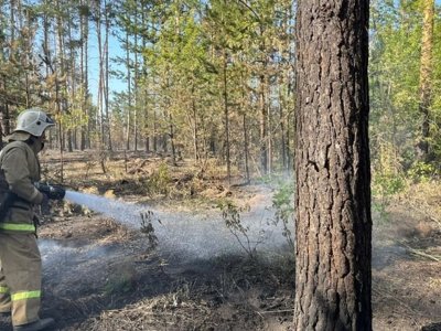 Төтенше жағдайлар министрлігі елде техника жетпейтінін мойындады